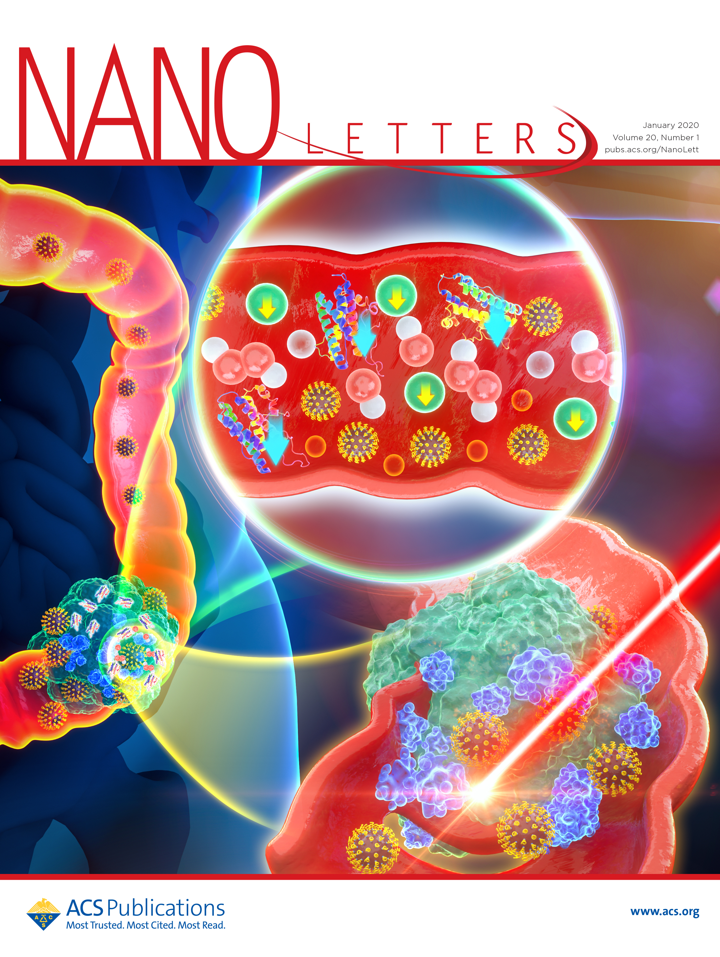 合肥工业大学 Nano Letters