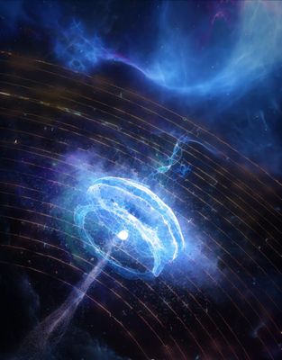 4nature插图-广西大学