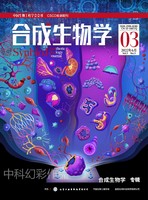 2024-06-19 18：04：00