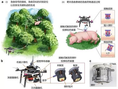 浙江大学Advanced Materials