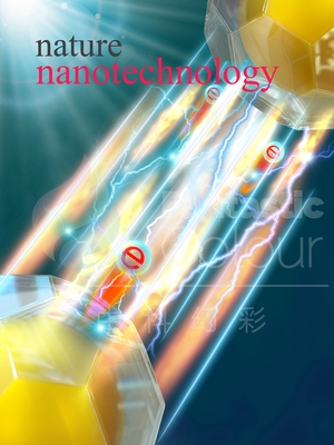 Nat. Nanotechnol.