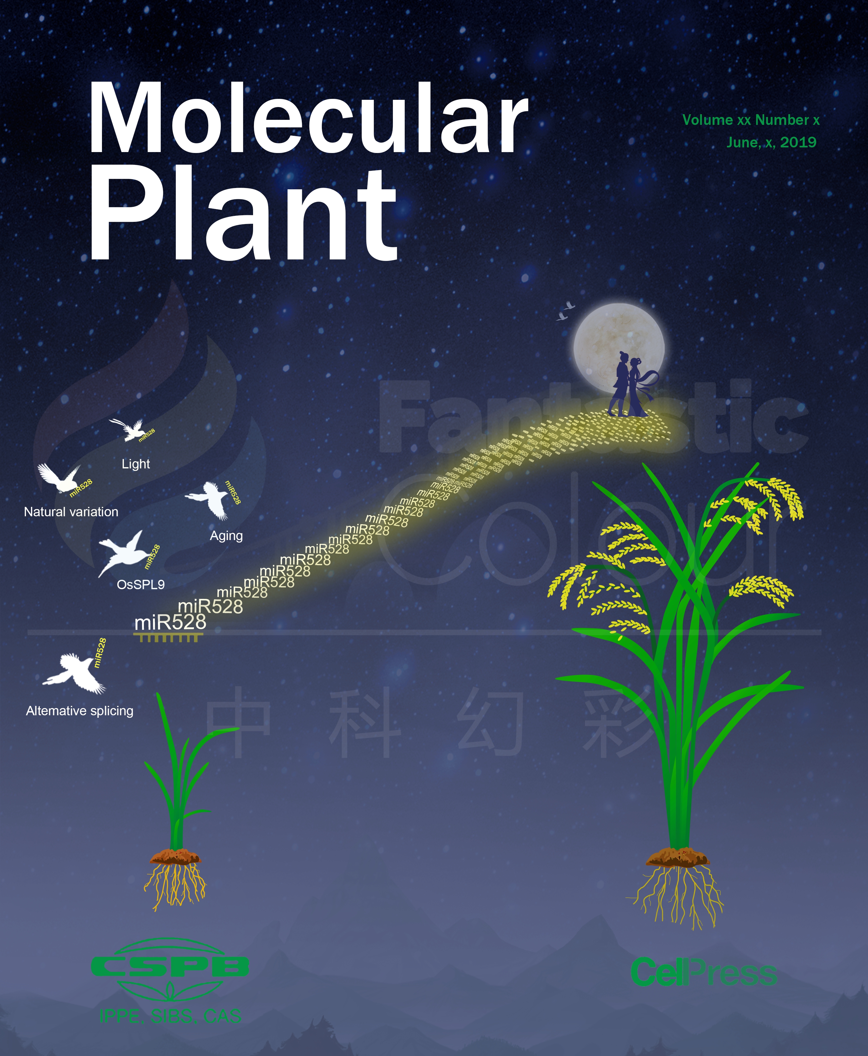 Mol.Plant-中国科学院遗传与发育生物学研究所