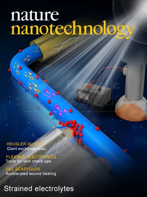 Nat.Nanotechnol.