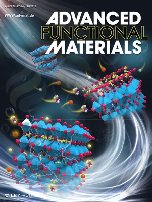 Adv. Func.Mater.-上海科技大学