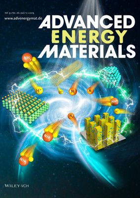 Adv.Energy.Mater.-江苏大学