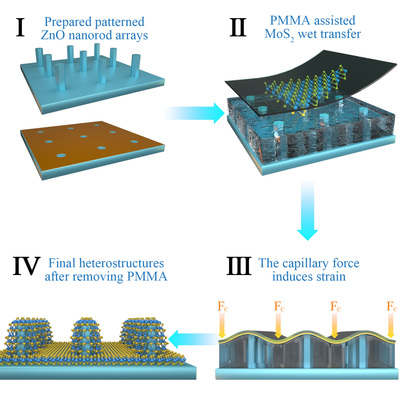 北京科技大学插图