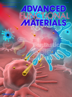 Adv.Funct.Mater.-新加坡南洋理工大学