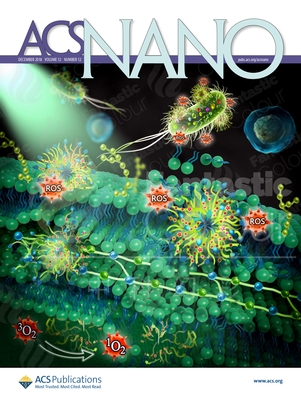 ACS NANO-华南师范大学