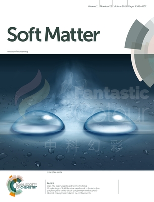 RSC-北京化工大学