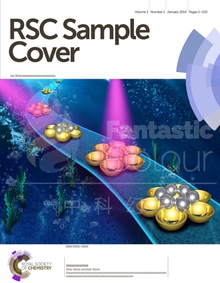 RSC-吉林师范大学