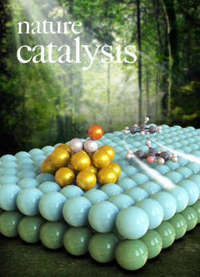 Nat.cata.-清华大学