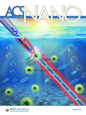 ACS NANO-中山大学