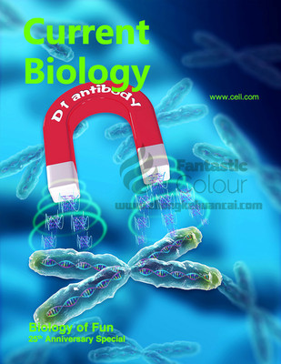 Current Biology-中山大学