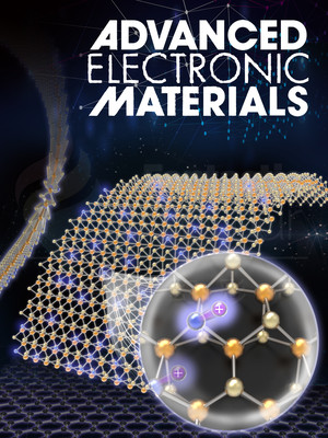 Adv.Elec.Mater.-香港大学