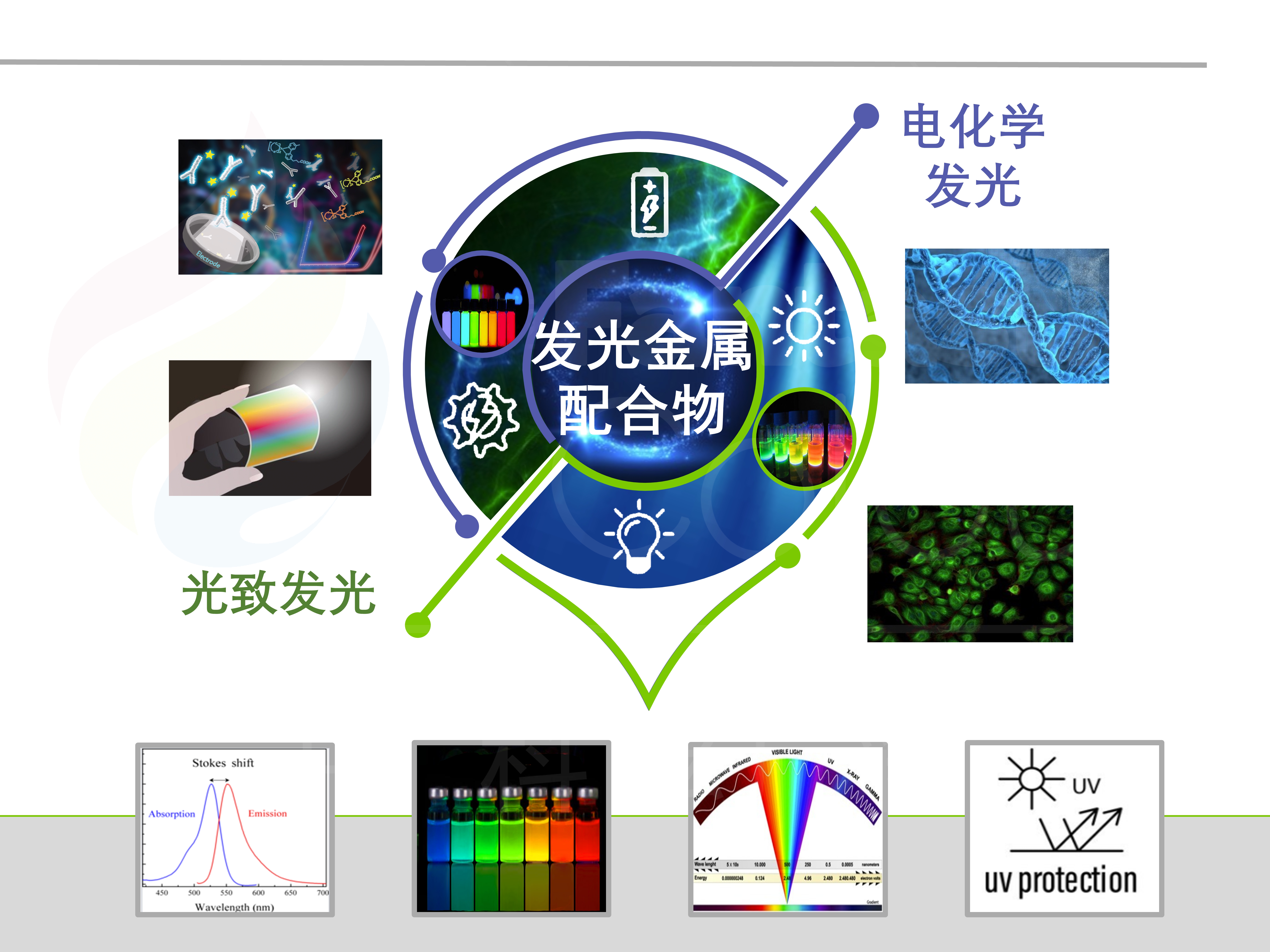 苏州科技大学-周宇昂