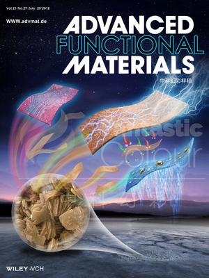 Adv.Funct.Mater.-郑州大学-中国矿业大学（北京）