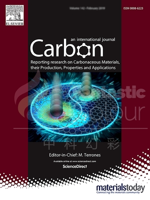 CARBON-中科院力学所
