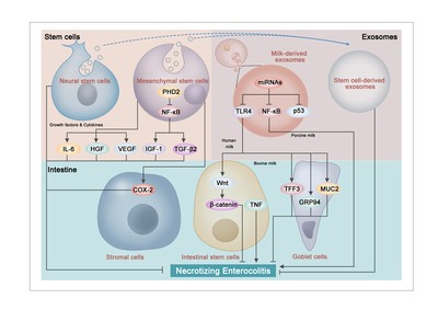 广东省人民医院