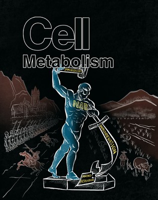 中国人民解放军海军军医大学第三附属医院