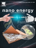 nano energy-西南交通大学