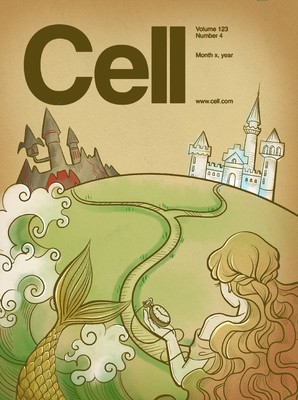 Rockefeller University Qian Lin B