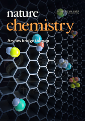 Nat. Chem.
