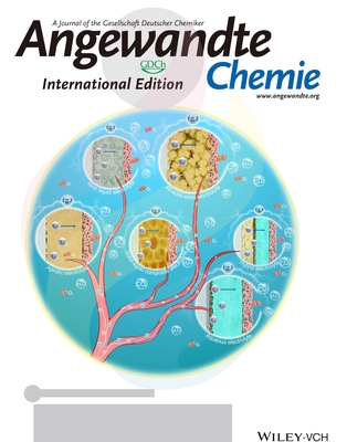 Angew-北京理工大学