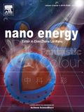 nano energy-中科院过程所
