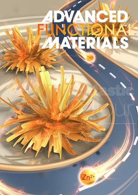 Adv.Funct.Mater.