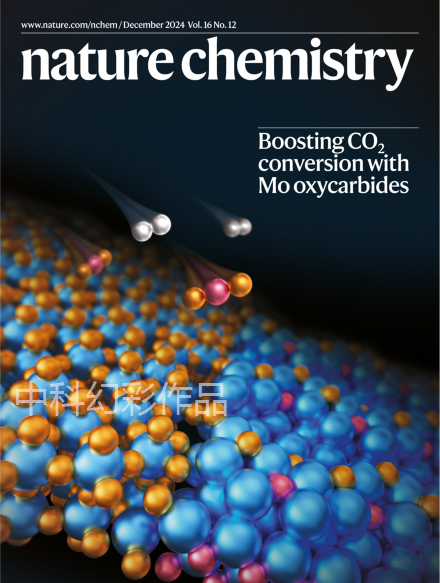 Nat. Chem.