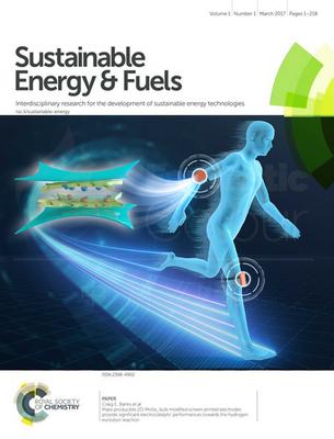 RSC-东北师范大学