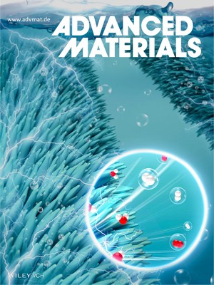 国家纳米科学中心