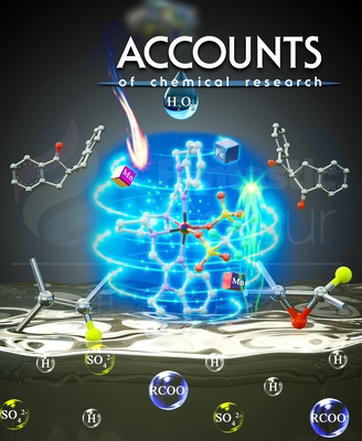 Accounts-中国科学院兰州化学物理研究所