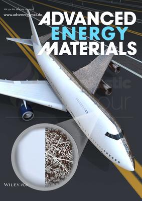Adv.Ene.Mater.-江苏科技大学
