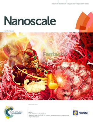 RSC-国家纳米科学中心