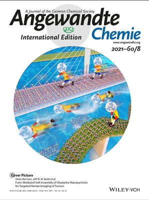 清华大学深圳研究院