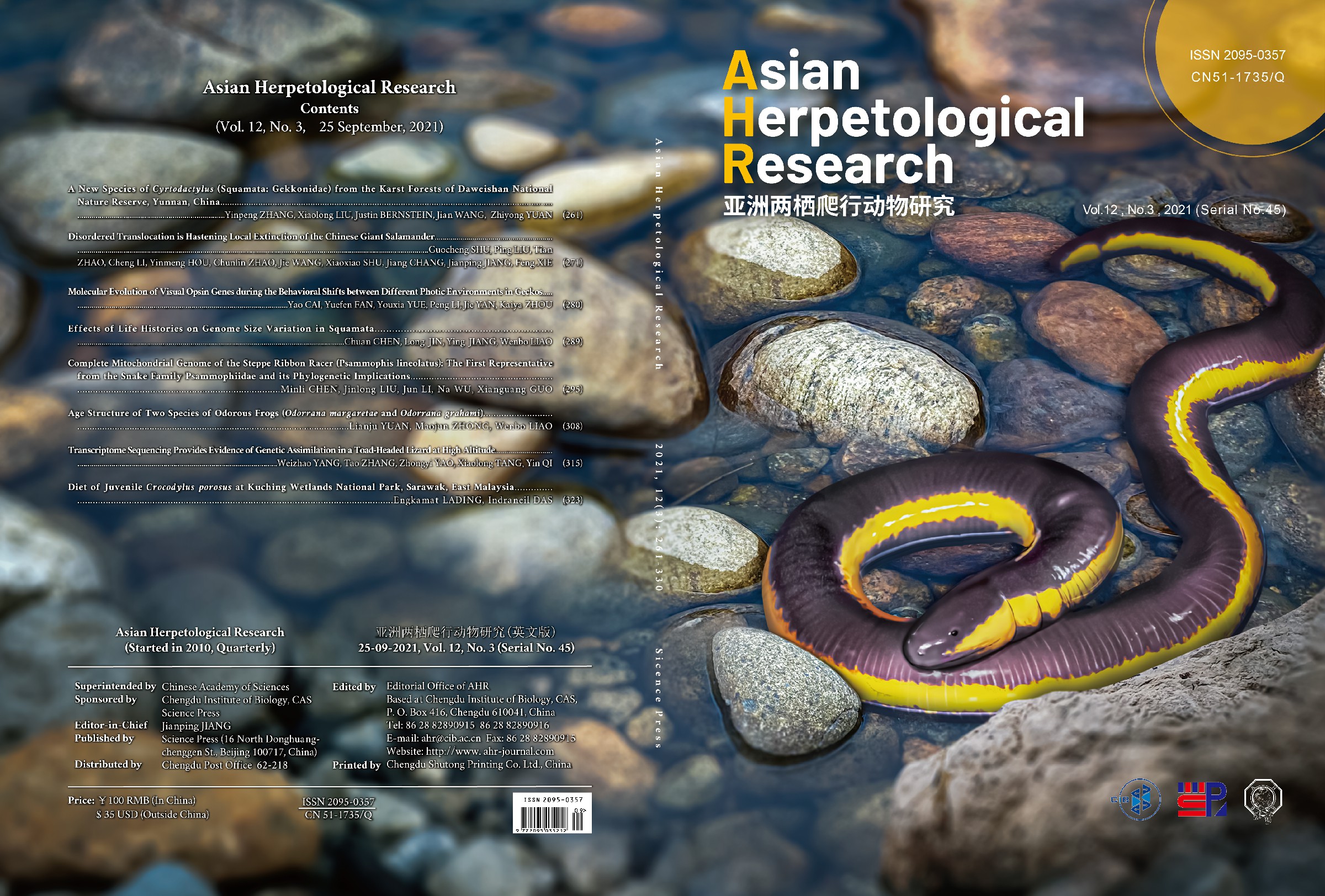 亚洲两栖爬行动物研究 2021.9 版纳鱼螈-01