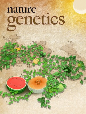 北京农林科学院蔬菜研究所