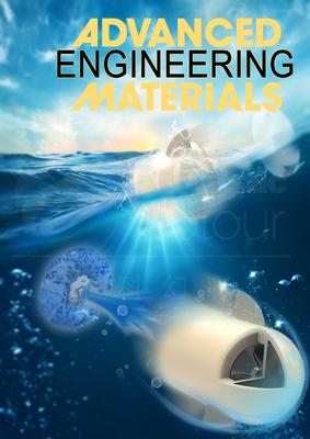 Adv.Ene.Mater.-西安交通大学