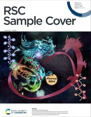 RSC-西安交通大学