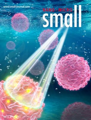 Small-悉尼科技大学