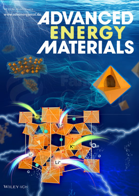 Adv.Ene.Mater.-四川大学