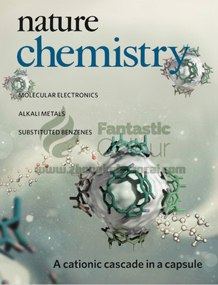 Nat. Chem.