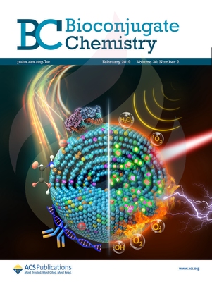 ACS-东南大学+董海娇