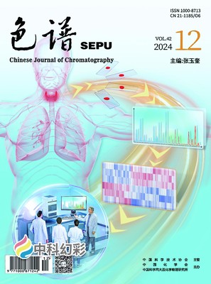 2024-12-20：09：00：00