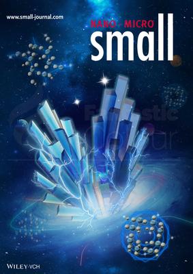 Small-中科院合肥