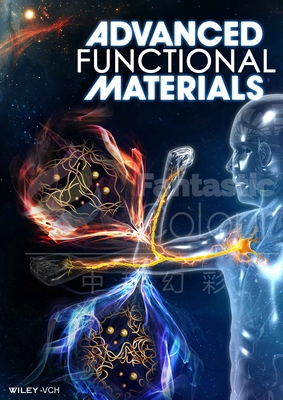 Adv.Funct.Mater.-新加坡南洋理工大学