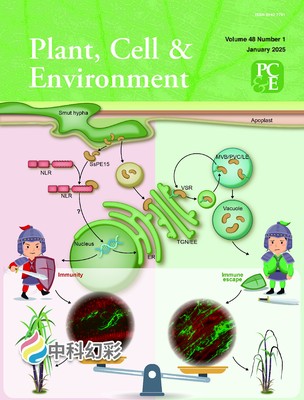 2024-12-06 16：16：00