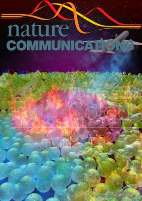 Nat. Commun.