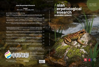 2024-12-09 09：20：00